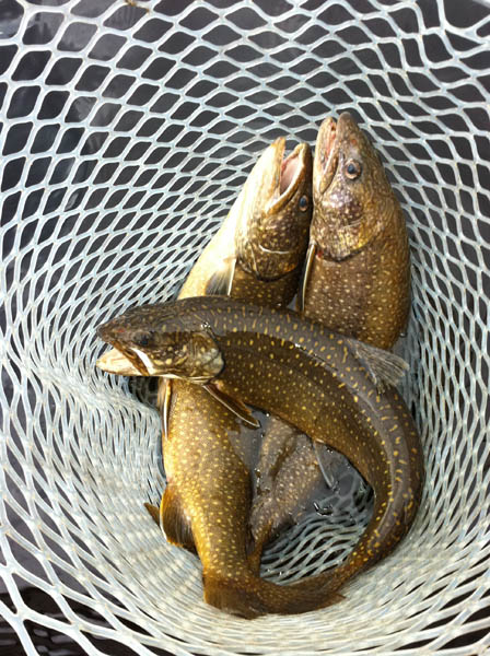 Maine