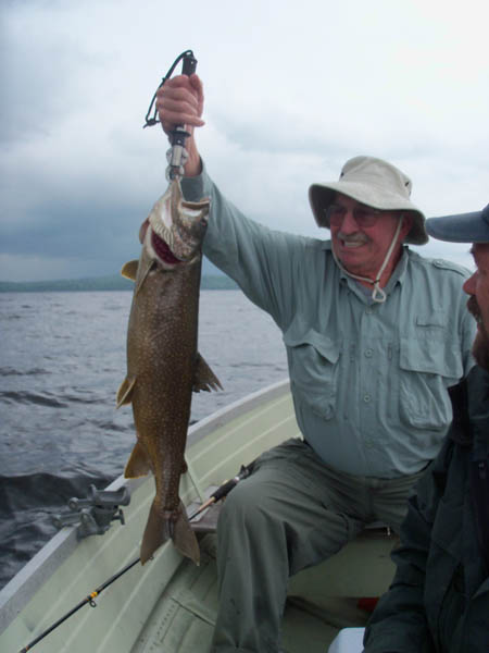Trout