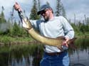 Guided Maine Musky Fishing