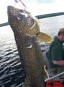 Trout Fishing