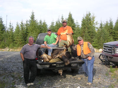 mainemoose_10