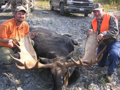mainemoose_11