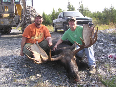 mainemoose_13