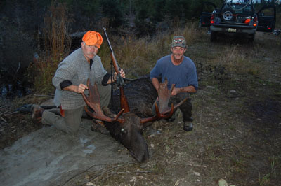 moose-guiding