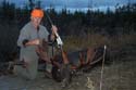 evening-hunt