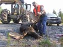 mainemoose_04
