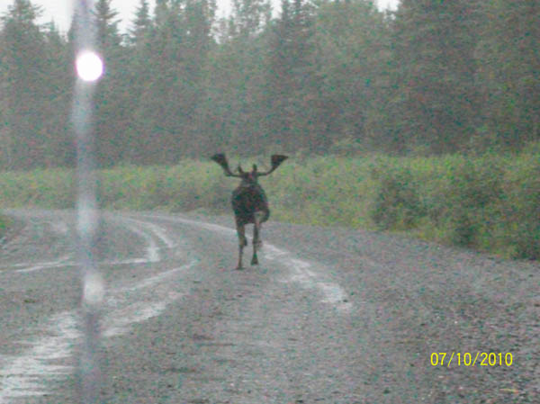 Maine