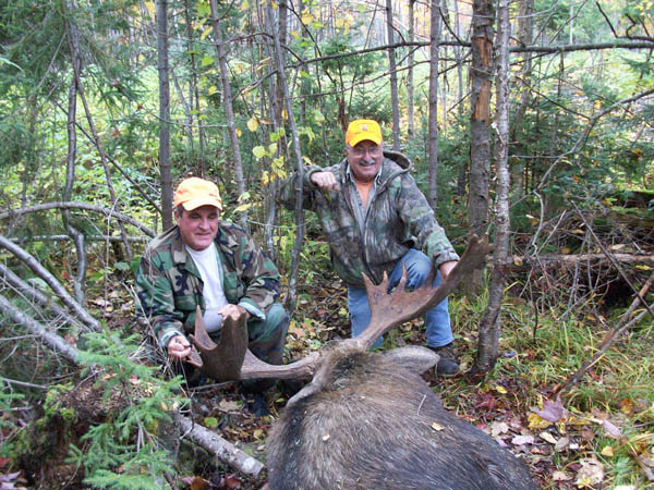 Moose