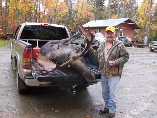 Moose
