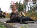 Guided Moose Hunts
