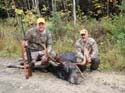 Maine Moose Hunting