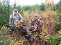 Maine Moose Lottery