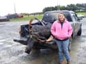 Maine Moose Permits
