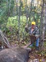 Maine Moose