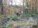Maine Sporting Camps