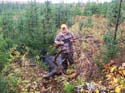 Moose Calls