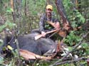 Moose Hunting Lodges