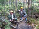 Moose Hunting Tactics