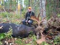 Trophy Maine Bull Moose