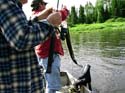 landing-fish