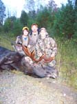 Hunt Maine Moose