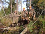 Maine Guide