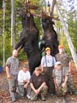 Maine Trophy Moose