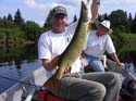 Maine Musky Fishing#192767D