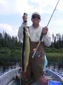 Maine Musky Fishing#1927686