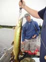 Maine Musky Fishing#19276DA