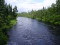 Maine Musky Fishing#19276F5