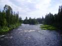Maine Musky Fishing#19276FB