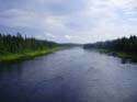 Maine Musky Fishing#192770A