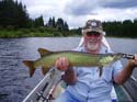 Maine Musky Fishing#1927719