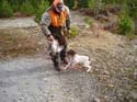Maine Guided Woodcoc#1A8936