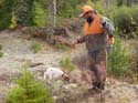 Maine Upland Outfitt#1A893A