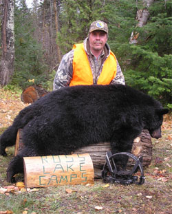 Guided black bear hunting in Maine