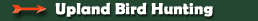 Upland bird hunts, grouse, woodcock, ruff grouse bird hunting