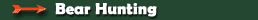 Maine bear hunting, black bear hunt over bait, guided maine hunting