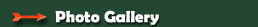 Maine hunting and fishing photo gallery