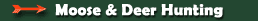 Maine moose hunting, whitetail deer hunts, Maine moose lottery information