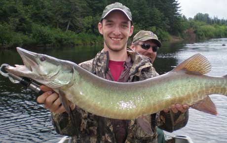Maine cow moose lottery