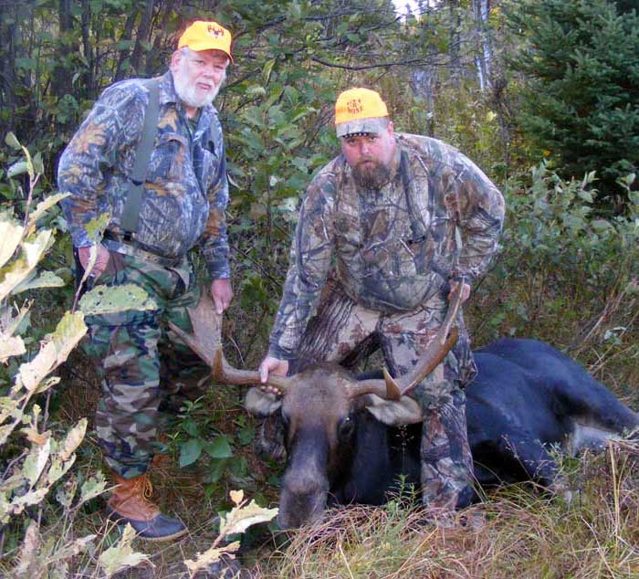 Guided Moose hunting in Maine