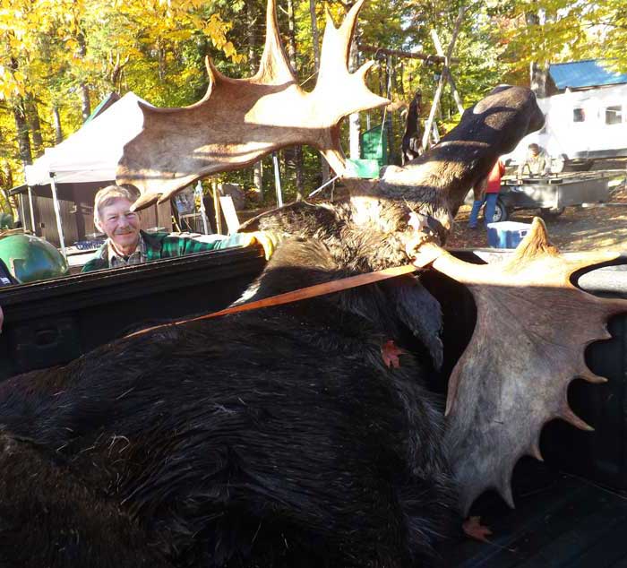 Guided Moose hunting in Maine