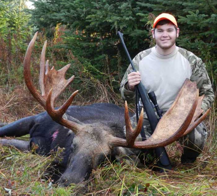 Guided Moose hunting in Maine
