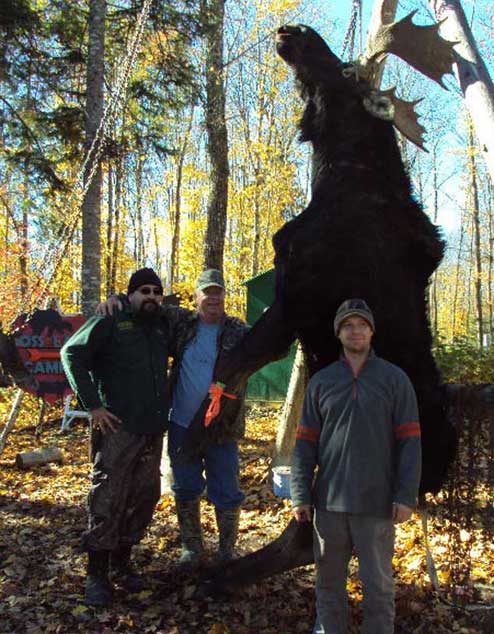 Guided Moose hunting in Maine