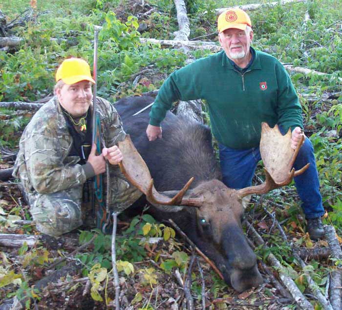 Guided Moose hunting in Maine