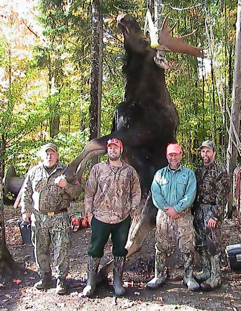 Guided Moose hunting in Maine