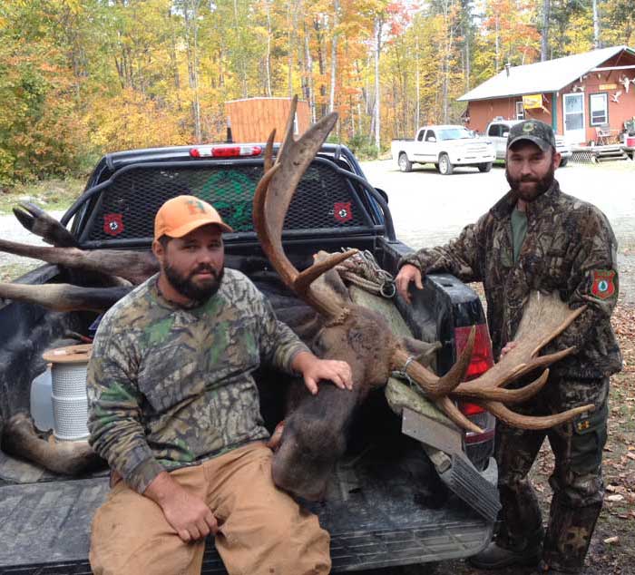 Guided Moose hunting in Maine