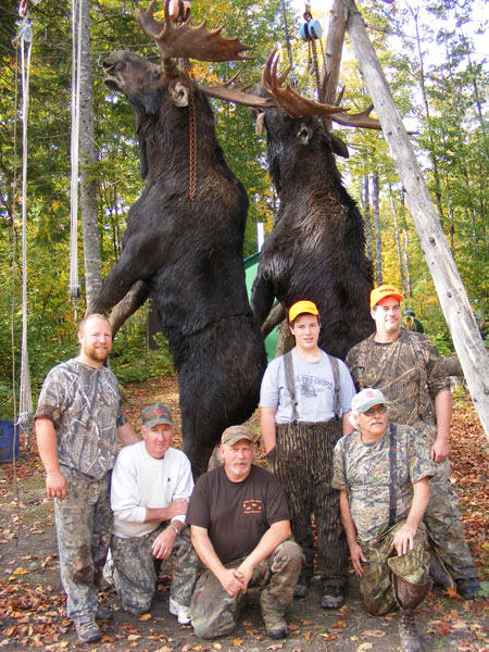 Moose Hunting in Maine